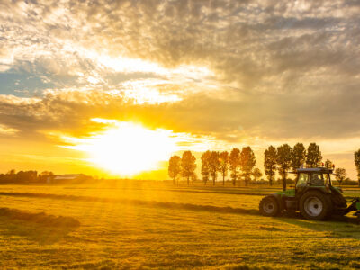 Europees Economisch Herstelfonds biedt subsidieregelingen voor landbouwers