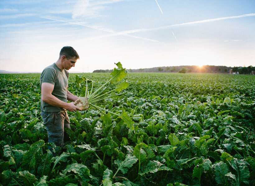 Europees Economisch Herstelfonds biedt subsidieregelingen voor landbouwers