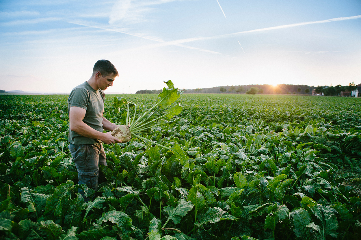 Europees Economisch Herstelfonds biedt subsidieregelingen voor landbouwers