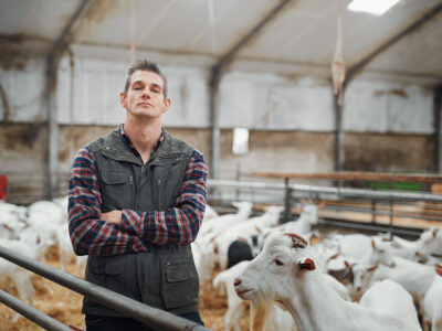 Strategisch advies bij opvolging boerenbedrijf