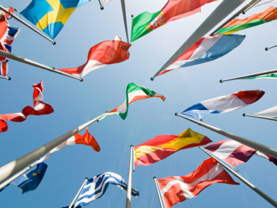 Is your company established in the Netherlands