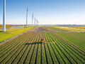 Herziening pachtregelgeving